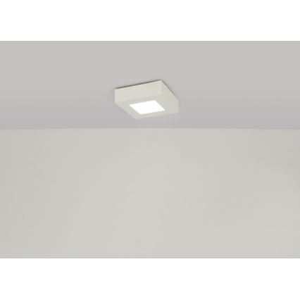 GLOBO - LED Stropní svítidlo LED/6W/230V