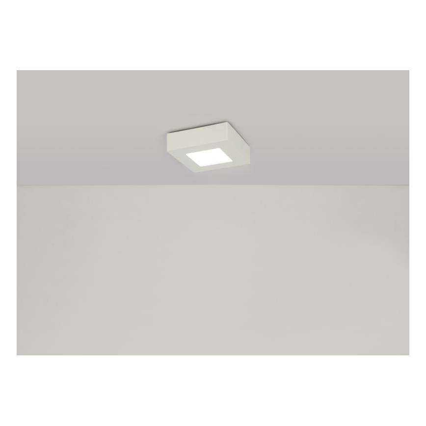 GLOBO - LED Stropní svítidlo LED/6W/230V