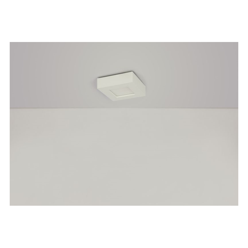 GLOBO - LED Stropní svítidlo LED/6W/230V