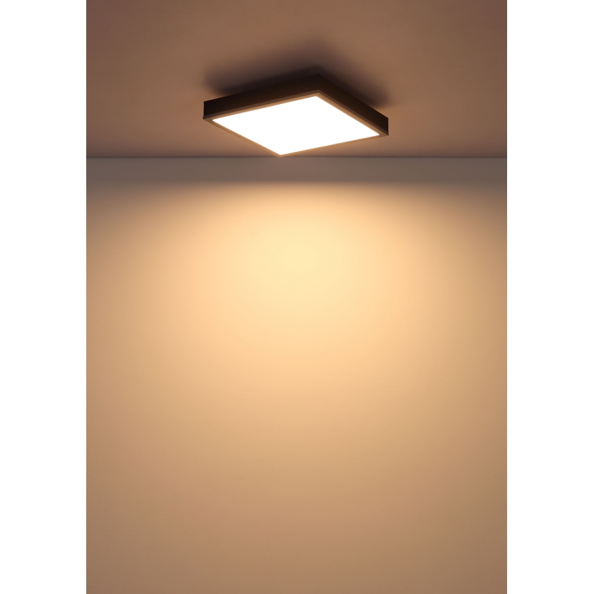 Globo - LED Stropní svítidlo LED/12W/230V 3000K 30x30 cm