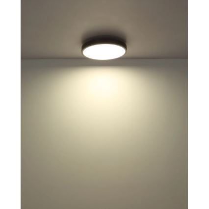 Globo - LED Stmívatelné stropní svítidlo LED/24W/230V 2700-6500K pr. 45 cm + dálkové ovládání