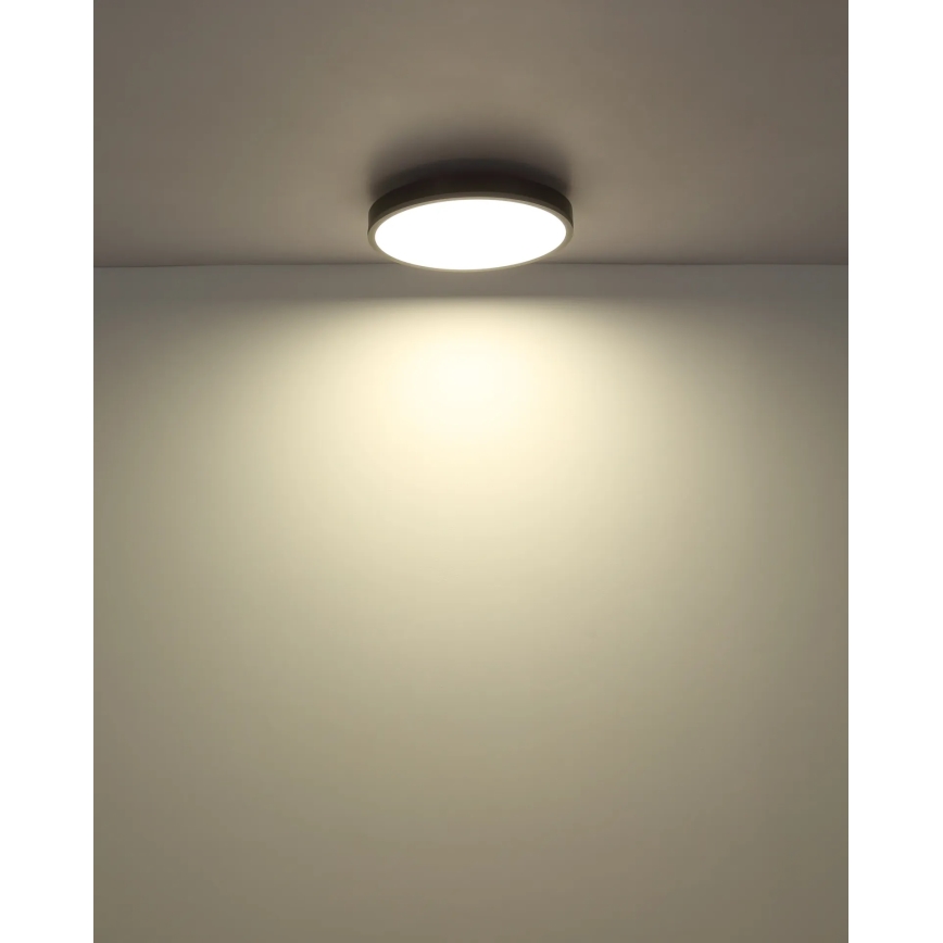Globo - LED Stmívatelné stropní svítidlo LED/24W/230V 2700-6500K pr. 45 cm + dálkové ovládání