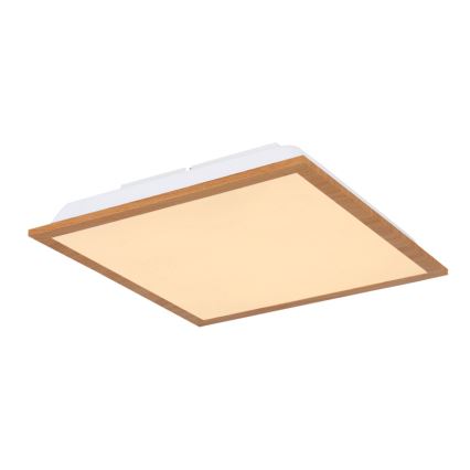 Globo - LED Stropní svítidlo LED/12W/230V