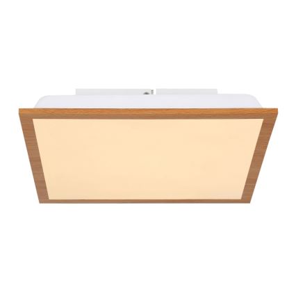 Globo - LED Stropní svítidlo LED/12W/230V
