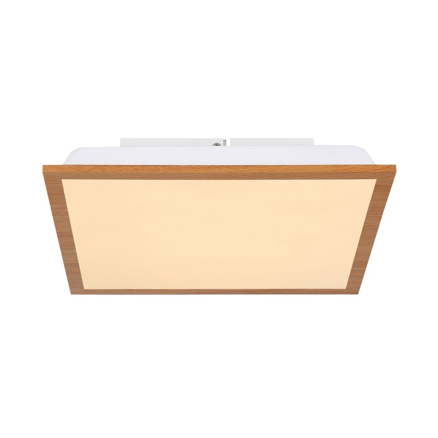 Globo - LED Stropní svítidlo LED/12W/230V