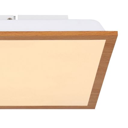 Globo - LED Stropní svítidlo LED/12W/230V