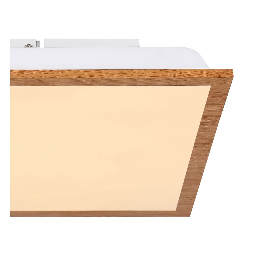 Globo - LED Stropní svítidlo LED/12W/230V