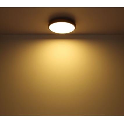 Globo - LED Stropní svítidlo LED/12W/230V pr. 30 cm