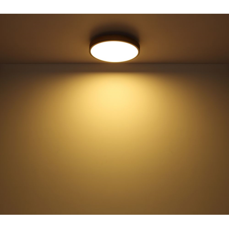 Globo - LED Stropní svítidlo LED/12W/230V pr. 30 cm