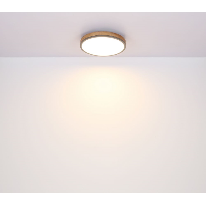 Globo - LED Stropní svítidlo LED/12W/230V pr. 30 cm
