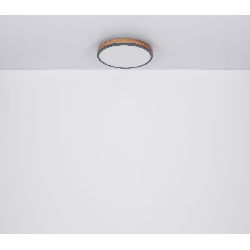 Globo - LED Stropní svítidlo LED/12W/230V pr. 30 cm