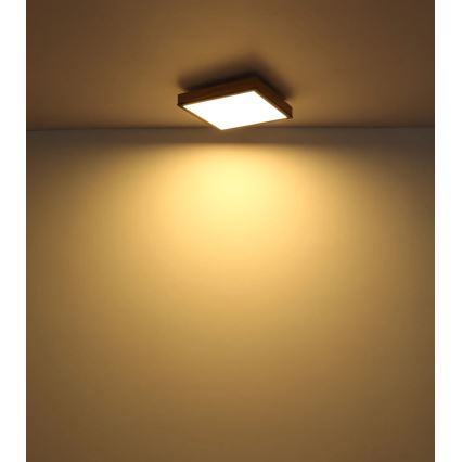 Globo - LED Stmívatelné stropní svítidlo LED/24W/230V 3000-6500K 45x45 cm
