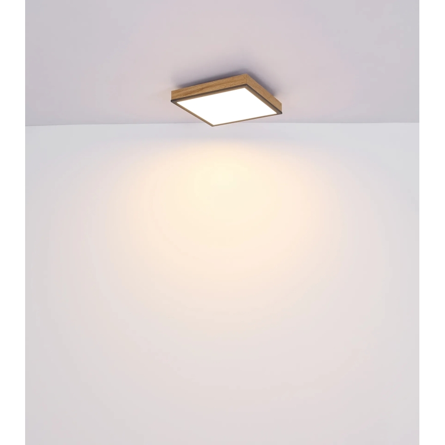 Globo - LED Stmívatelné stropní svítidlo LED/24W/230V 3000-6500K 45x45 cm