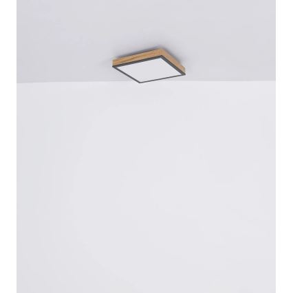 Globo - LED Stmívatelné stropní svítidlo LED/24W/230V 3000-6500K 45x45 cm