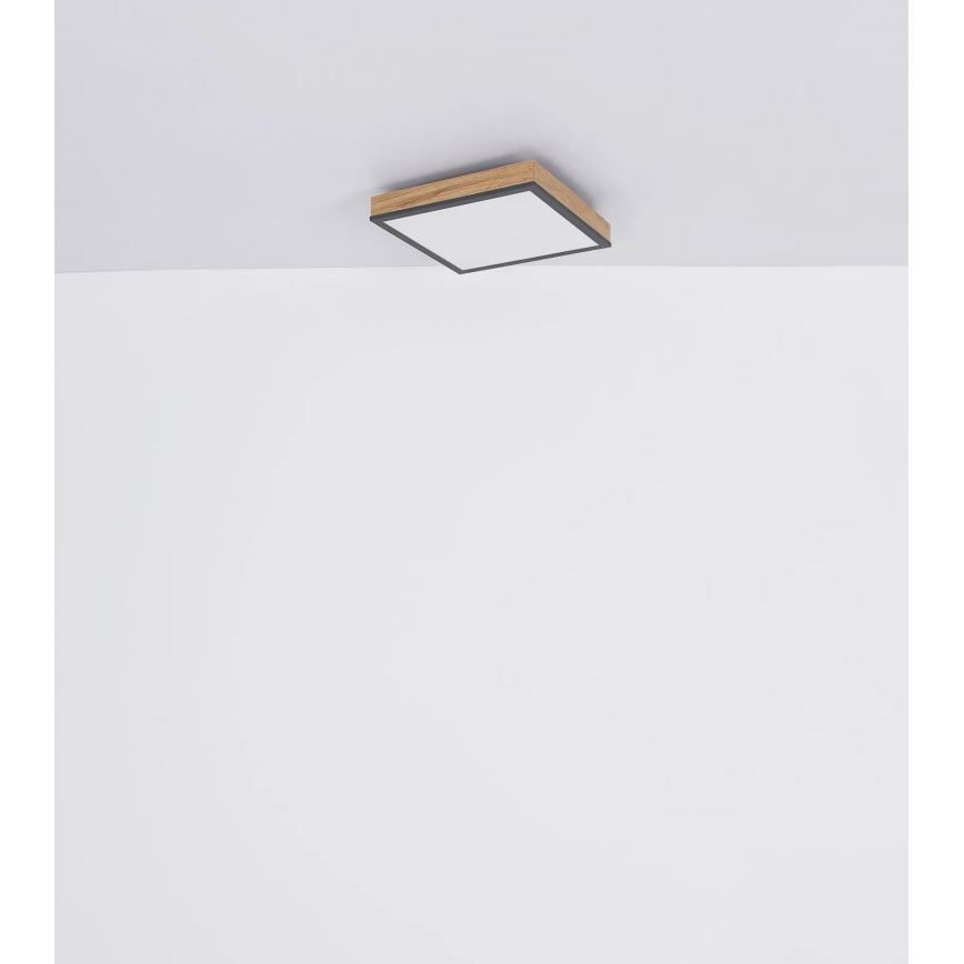 Globo - LED Stmívatelné stropní svítidlo LED/24W/230V 3000-6500K 45x45 cm