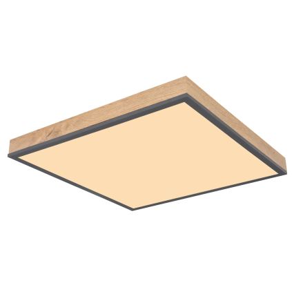 Globo - LED Stmívatelné stropní svítidlo LED/24W/230V 3000-6500K 45x45 cm