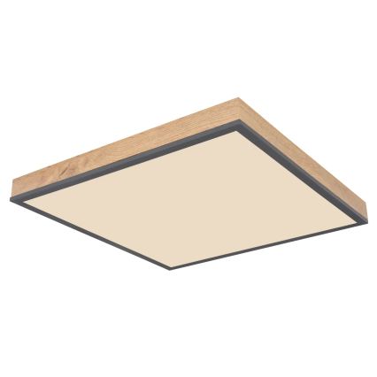 Globo - LED Stmívatelné stropní svítidlo LED/24W/230V 3000-6500K 45x45 cm