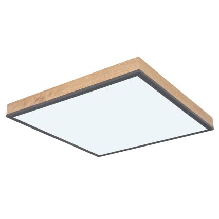 Globo - LED Stmívatelné stropní svítidlo LED/24W/230V 3000-6500K 45x45 cm