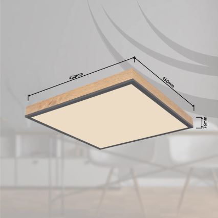 Globo - LED Stmívatelné stropní svítidlo LED/24W/230V 3000-6500K 45x45 cm