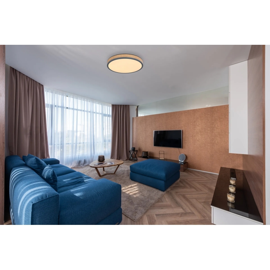 Globo - LED Stmívatelné stropní svítidlo LED/24W/230V 2700-6500K pr. 45 cm
