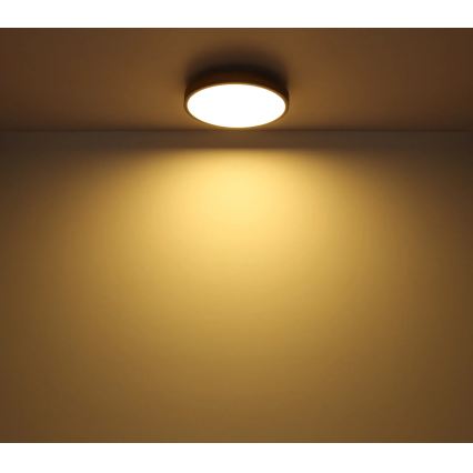 Globo - LED Stmívatelné stropní svítidlo LED/24W/230V 2700-6500K pr. 45 cm
