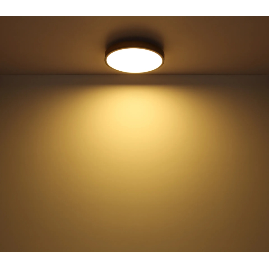 Globo - LED Stmívatelné stropní svítidlo LED/24W/230V 2700-6500K pr. 45 cm