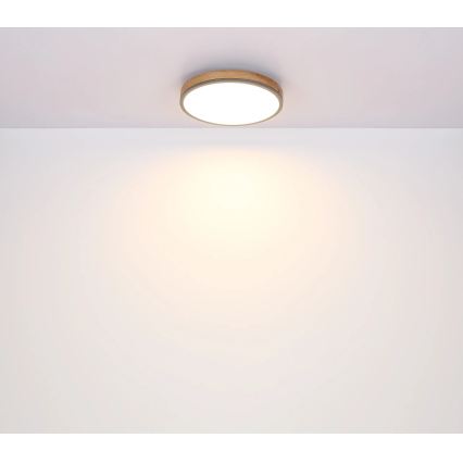 Globo - LED Stmívatelné stropní svítidlo LED/24W/230V 2700-6500K pr. 45 cm