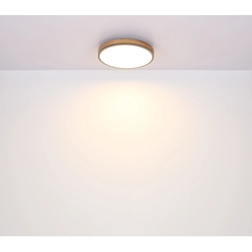 Globo - LED Stmívatelné stropní svítidlo LED/24W/230V 2700-6500K pr. 45 cm
