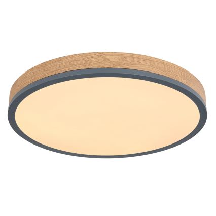 Globo - LED Stmívatelné stropní svítidlo LED/24W/230V 2700-6500K pr. 45 cm