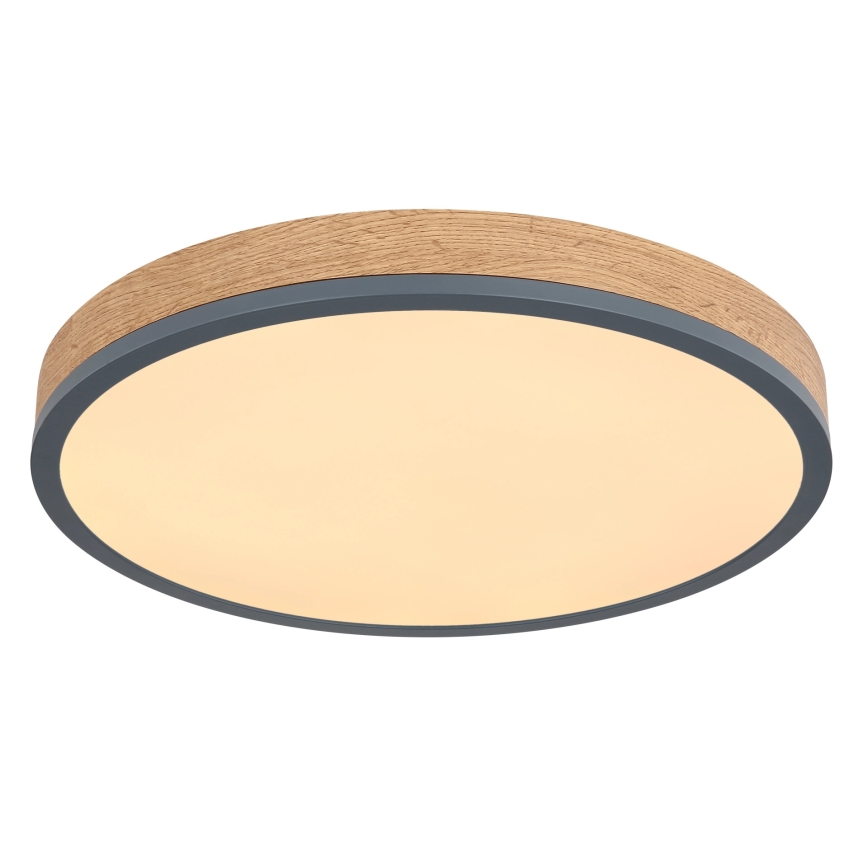 Globo - LED Stmívatelné stropní svítidlo LED/24W/230V 2700-6500K pr. 45 cm