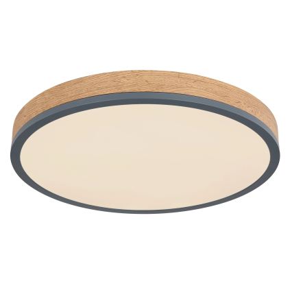 Globo - LED Stmívatelné stropní svítidlo LED/24W/230V 2700-6500K pr. 45 cm