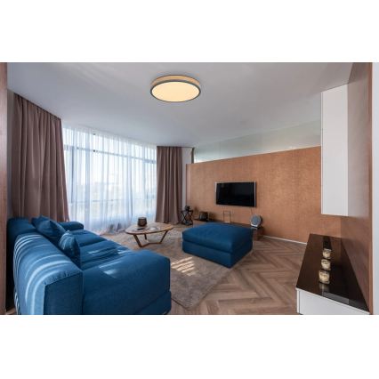 Globo - LED Stmívatelné stropní svítidlo LED/24W/230V 3000-6500K pr. 45 cm