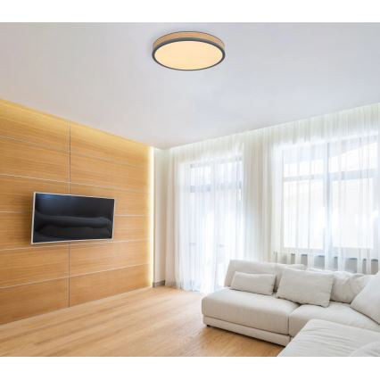Globo - LED Stmívatelné stropní svítidlo LED/24W/230V 3000-6500K pr. 45 cm