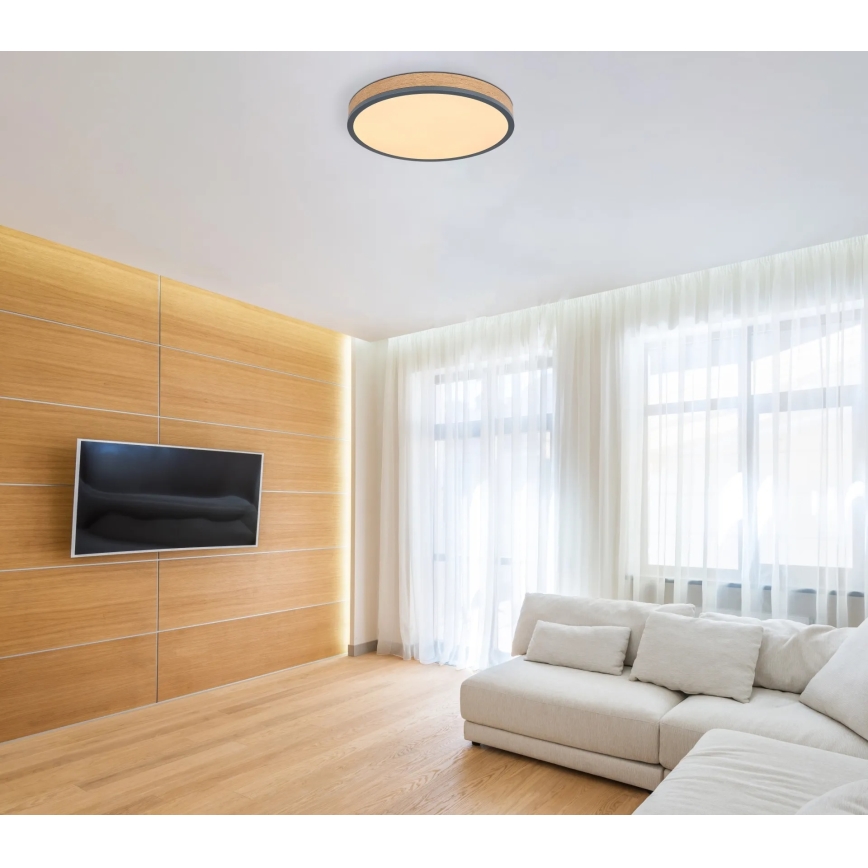 Globo - LED Stmívatelné stropní svítidlo LED/24W/230V 3000-6500K pr. 45 cm