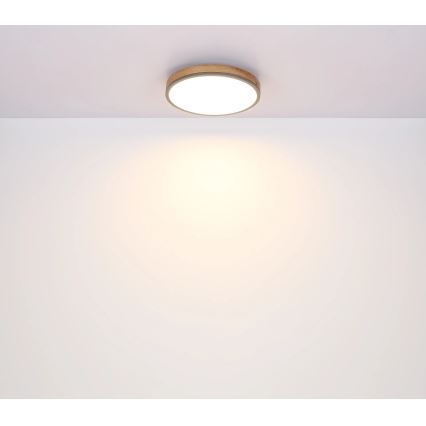 Globo - LED Stmívatelné stropní svítidlo LED/24W/230V 3000-6500K pr. 45 cm