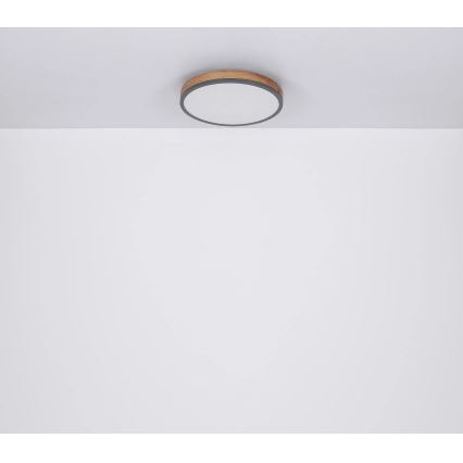 Globo - LED Stmívatelné stropní svítidlo LED/24W/230V 3000-6500K pr. 45 cm