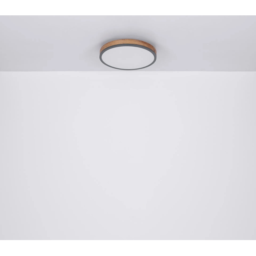 Globo - LED Stmívatelné stropní svítidlo LED/24W/230V 3000-6500K pr. 45 cm