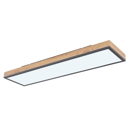 Globo - LED Stmívatelné stropní svítidlo LED/24W/230V 2700-6500K + dálkové ovládání