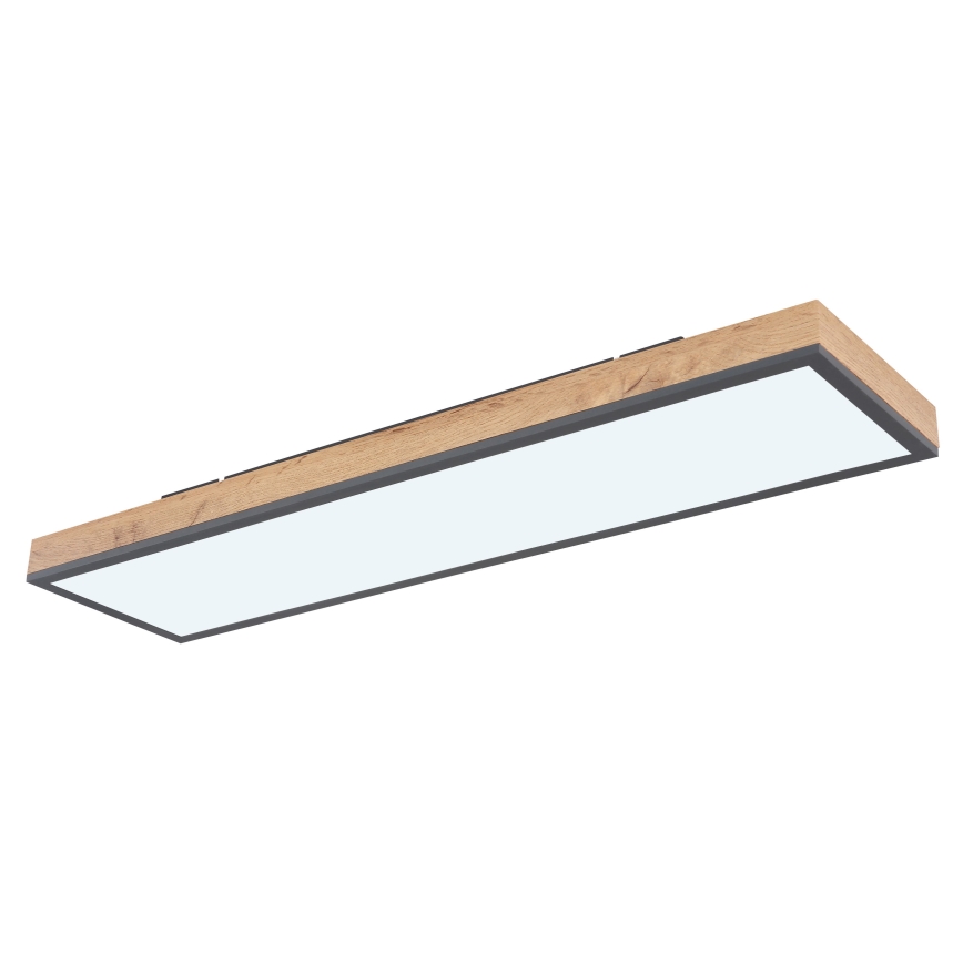 Globo - LED Stmívatelné stropní svítidlo LED/24W/230V 2700-6500K + dálkové ovládání