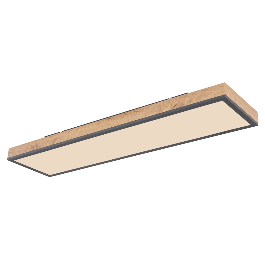 Globo - LED Stmívatelné stropní svítidlo LED/24W/230V 2700-6500K + dálkové ovládání