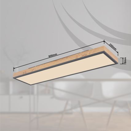 Globo - LED Stmívatelné stropní svítidlo LED/24W/230V 2700-6500K + dálkové ovládání