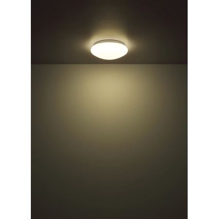 Globo - LED Stropní svítidlo LED/12W/230V 4000K pr. 25,4 cm