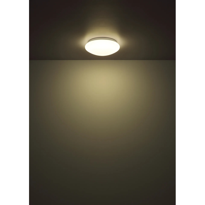 Globo - LED Stropní svítidlo LED/12W/230V 4000K pr. 25,4 cm