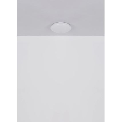 Globo - LED Stropní svítidlo LED/12W/230V 4000K pr. 25,4 cm