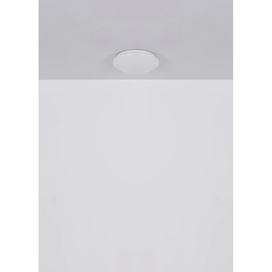 Globo - LED Stropní svítidlo LED/12W/230V 4000K pr. 25,4 cm