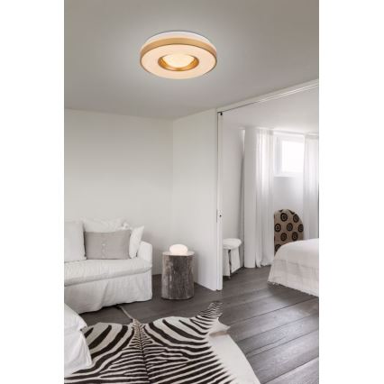Globo - LED Stropní svítidlo LED/24W/230V