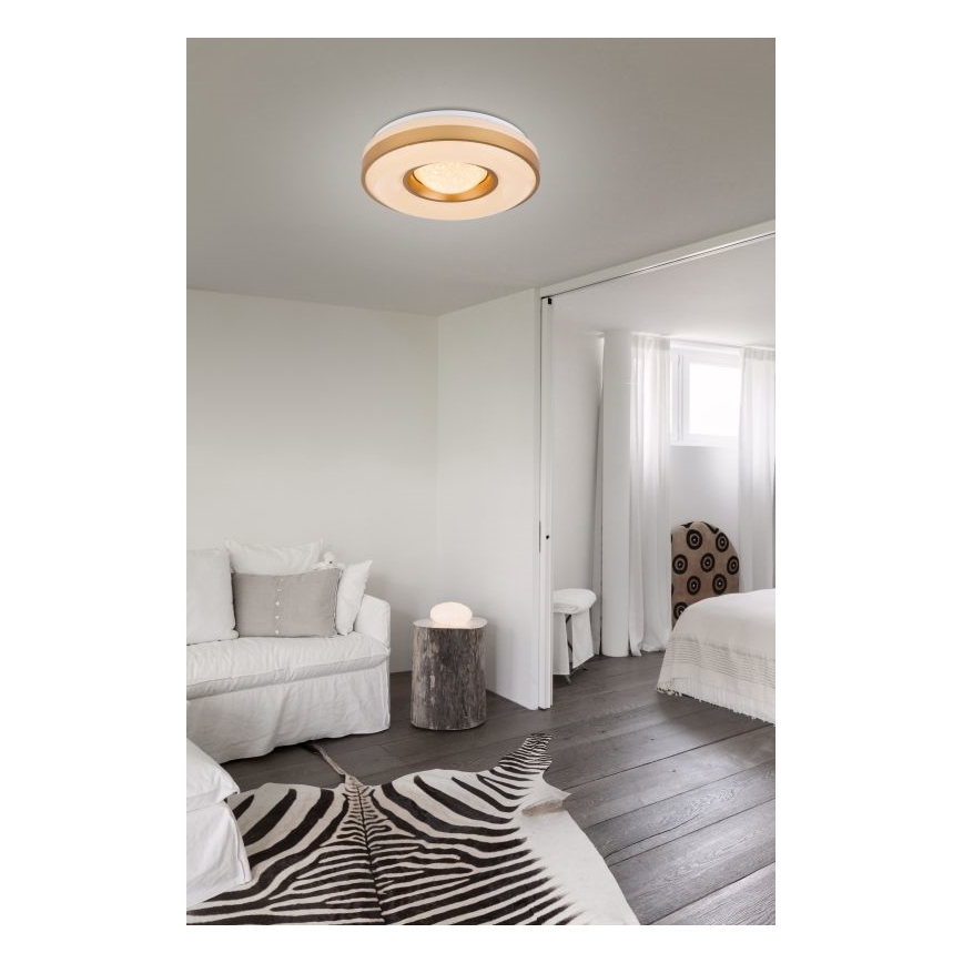 Globo - LED Stropní svítidlo LED/24W/230V