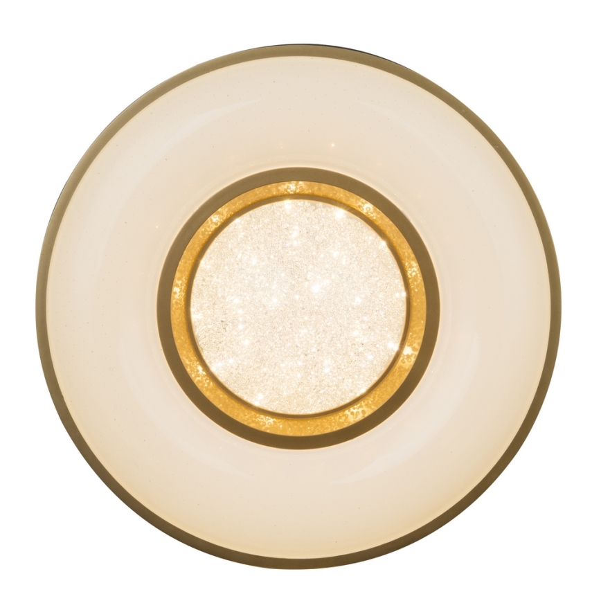 Globo - LED Stropní svítidlo LED/24W/230V