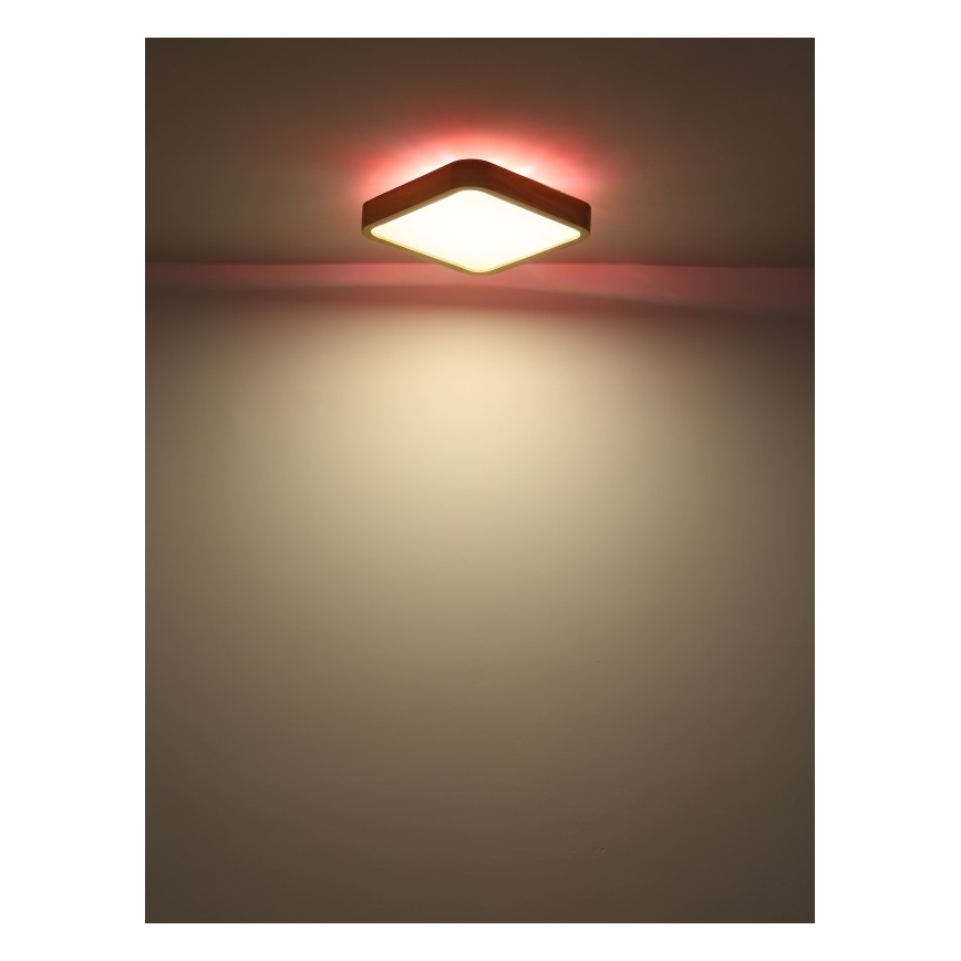 Globo - LED RGB Stmívatelné stropní svítidlo LED/24W/230V + dálkové ovládání