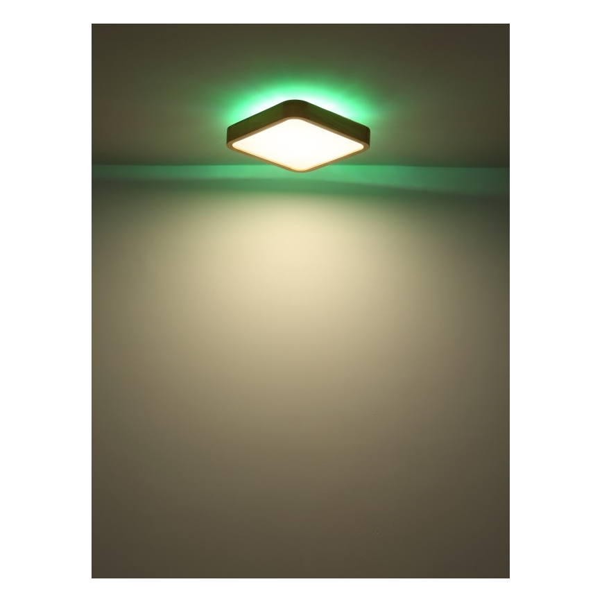 Globo - LED RGB Stmívatelné stropní svítidlo LED/24W/230V + dálkové ovládání